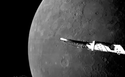BepiColombo отделил разгонный модуль перед выходом на орбиту Меркурия