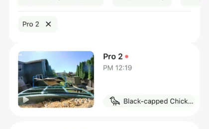 Kiwibit Feeder 2 Pro прошел тест: точный ИИ-детектор птиц дал сбой