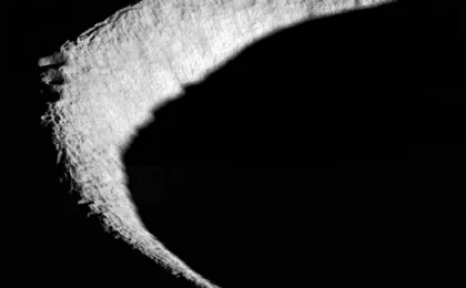 NASA хочет допускать партнеров к лунным программам только за значимый вклад в миссию