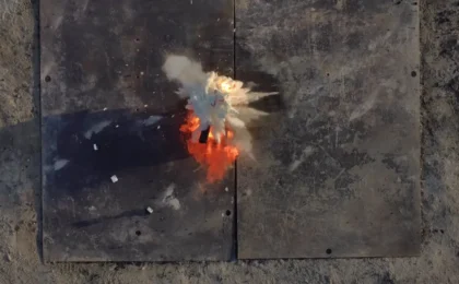 SIRIUS Wildfire Alliance получила $500 тысяч за систему прогнозирования пожаров