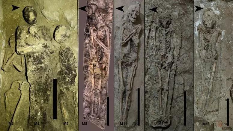 Mummified Individuals From TT 209